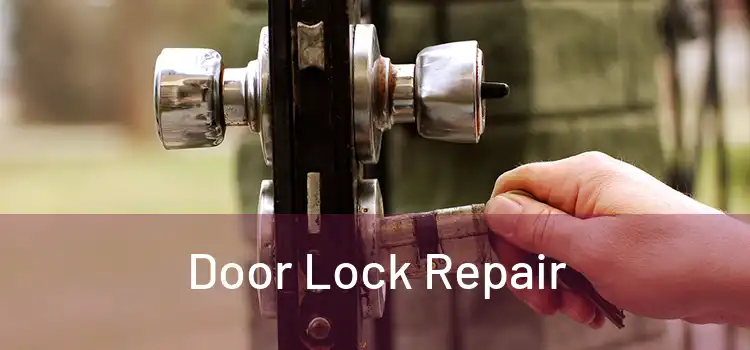  Door Lock Repair 