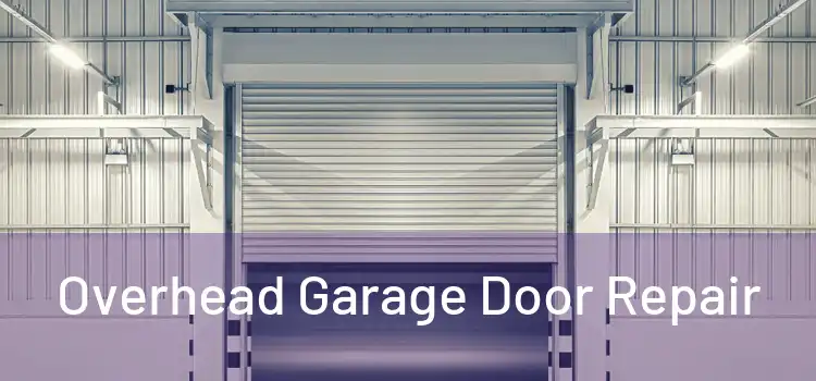  Overhead Garage Door Repair 
